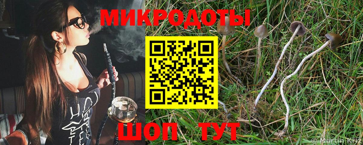 Псилоцибиновые грибы MAGIC MUSHROOMS Калининград