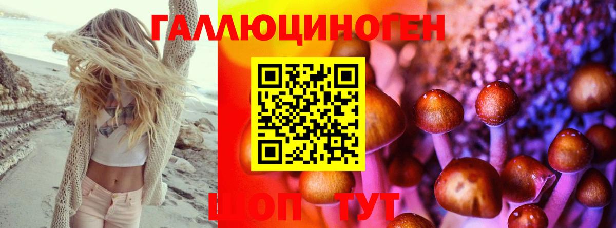 Псилоцибиновые грибы мицелий  Вход с VPN  Калининград 